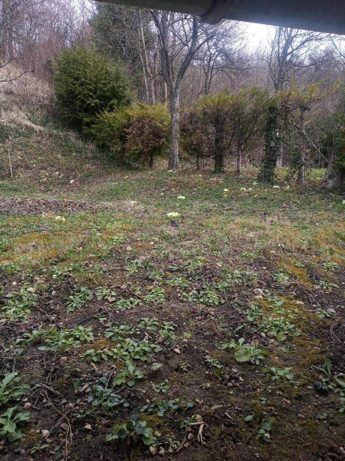 Holiday Home Nature Plesivica Jastrebarsko Zewnętrze zdjęcie