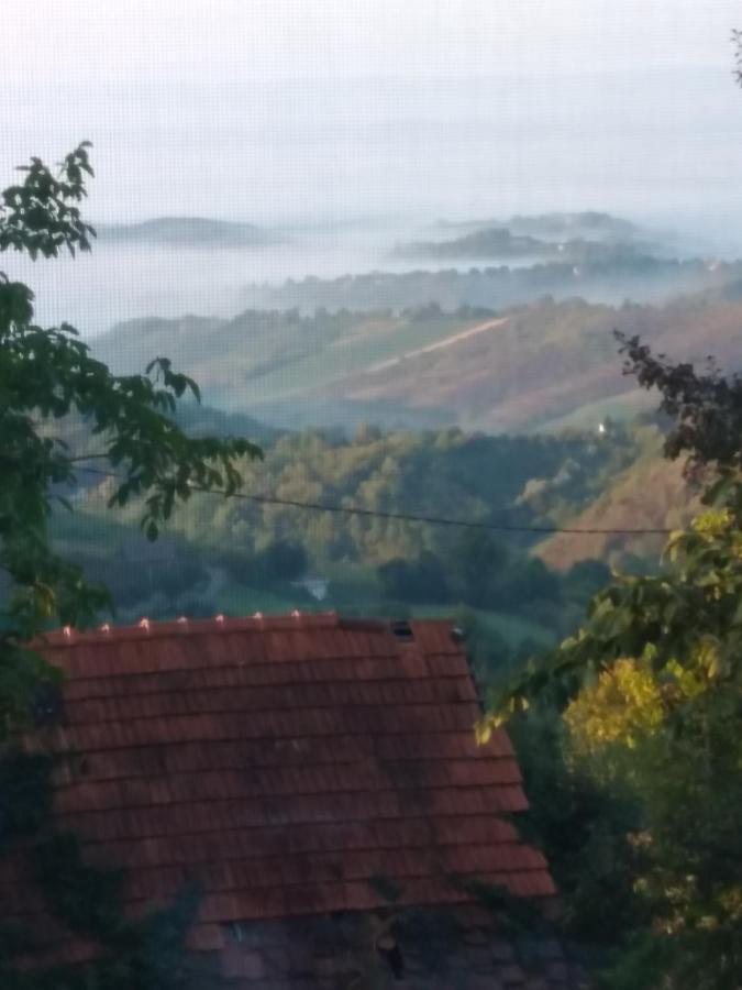 Holiday Home Nature Plesivica Jastrebarsko Zewnętrze zdjęcie