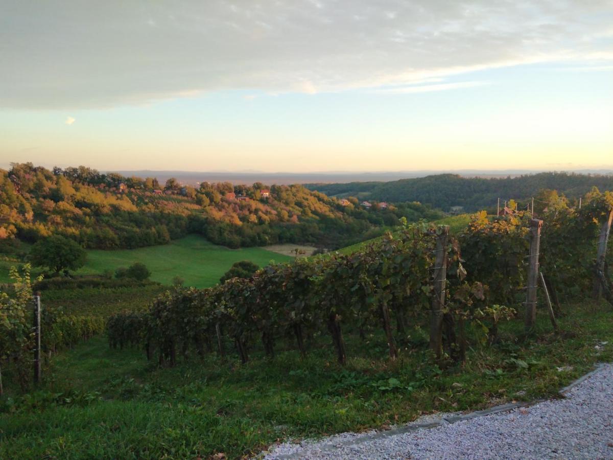 Holiday Home Nature Plesivica Jastrebarsko Zewnętrze zdjęcie